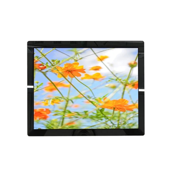 DC12V 400CD/M2 Capacitive Touch LCD Monitor 15′ ′ Vandal Proof