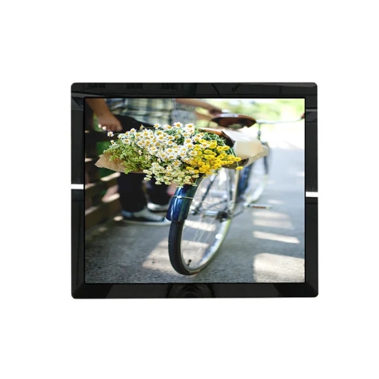 Open Frame 1024X768 Capacitive Touch Monitor 450nits with VGA